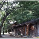 새소리 물소리 이미지