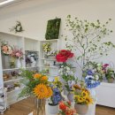 손짓공방 | [군산 자이언트 플라워] 영원히 시들지 않는 포토존 감성 공방 벨라비타 원데이클래스 솔직후기