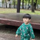 무양공원 놀이터(무양) 이미지