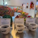 브런치 작가 데뷔하기(야간) | 망원 반려견동반 한강카페 뉴케이스 내돈내산 후기