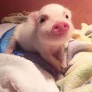 잡아잡아낚시카페 이미지