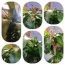 SG 골프 아카데미 이미지