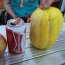 덕우주유소 이미지