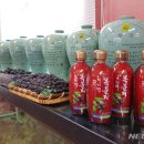 천지향 뉴시스
