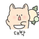 해싸라래 이미지