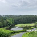 백송