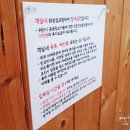 두 번째 벚꽃 | [하동여행 숙소]뷰가 좋고 조용히 쉬기 좋은 두번째벚꽃 후기