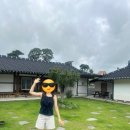 달이뜨면꽃이피고 이미지