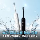 주식회사 스마트독 | 오아 덴티스윙 음파 전동칫솔 꼼꼼한 양치질을 위한 논리적 분석과 실사용 후기