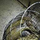 새봉낚시터 이미지