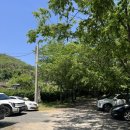 더지엘 | 밀양 이색카페 추천 | 앵무새와 희귀종 물고기를 만날 수 있는 ‘카페지엘’ 후기