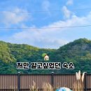 수수다올 이미지