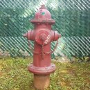 8군푸드 이미지