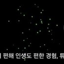 튜브락워킹센터