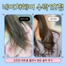 노원-수락-노원-(저)005001 | [노원] 네이처헤어 수락 1호점 클리닉 솔직 후기, 머릿결 변신 성공 I 수락산 미용실 I 손상모, 예약, 주차