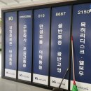 케이교정원 - 부천시 원미구 부천로198번길 18 | [의학을 11년 넘게 공부한 원장님이 운영하시는 교정원] 케이아이바른교정원