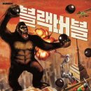 버블이 이미지