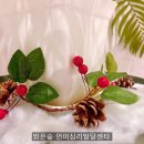 밝은숲