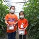 벌말농원 이미지