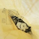 강당초등학교 이미지