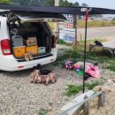 해송펜션 이미지