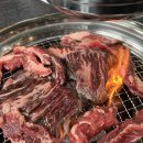 불타는안창살 이미지