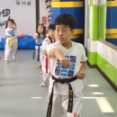 경희대석사 흑룡태권도 이미지