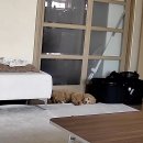 사랑해 문혁민(26) 이미지