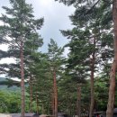 샘골주유소 이미지