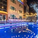 베베올레 이미지