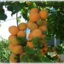 청송중학교 이미지