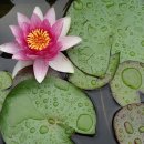 이시형한의원 이미지