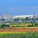 대추리길 이미지