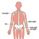 핏구공피티스튜디오&소정필라테스 네이버블로그