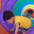 운천 유아태권도 이미지