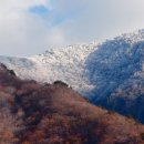 지리산 이미지