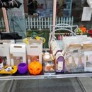 댕냥키친 이미지