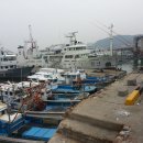 어룡초교 이미지