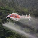 밤나무축산 이미지