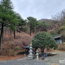 금불사 칼국수 이미지