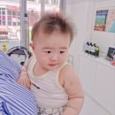 라벤더에쉬 이미지