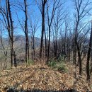 오안초등학교 이미지