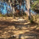대구 달성군 다사읍 매곡리에있는 다사근린공원 산책로길입니다 이미지