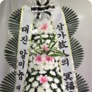 부림한방병원 이미지