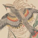 건담한의원 이미지