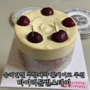 진안문화의집 마이홀 | 석촌호수 카페 마이리틀벌스데이 송리단길 주문제작 케이크 후기