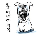 씨유 대전선화힐링점 | 25년 2-2월 정산: 로즐리뷰티, 취업사진, 모나크비스트로