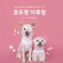 도서출판 마루