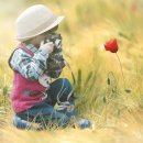 낭만느림보 이미지