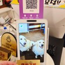 네비 하고 가게 | 울산 동구 맛집 일산동 연탄갈비 고기집 재방문 후기